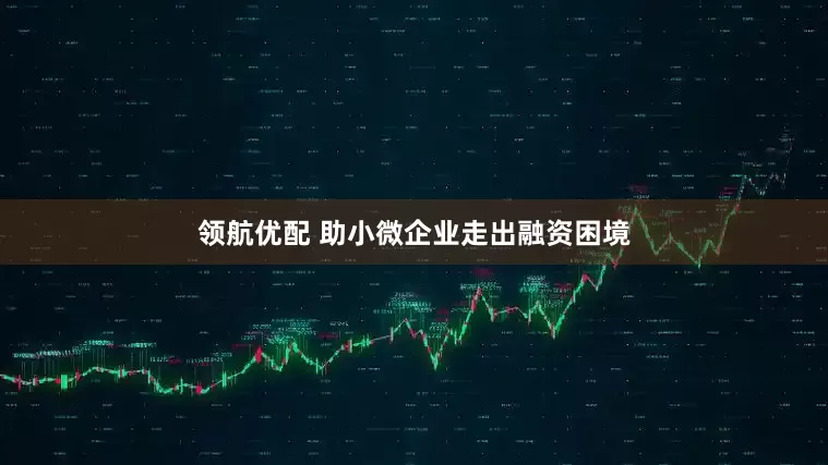 领航优配 助小微企业走出融资困境