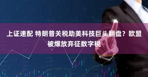 上证速配 特朗普关税助美科技巨头翻盘？欧盟被爆放弃征数字税