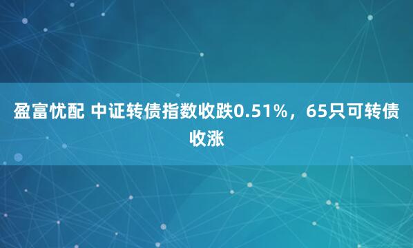 盈富忧配 中证转债指数收跌0.51%，65只可转债收涨